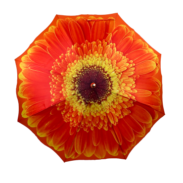 StormKing Floral Orange Daisy Classic Stick Umbrella